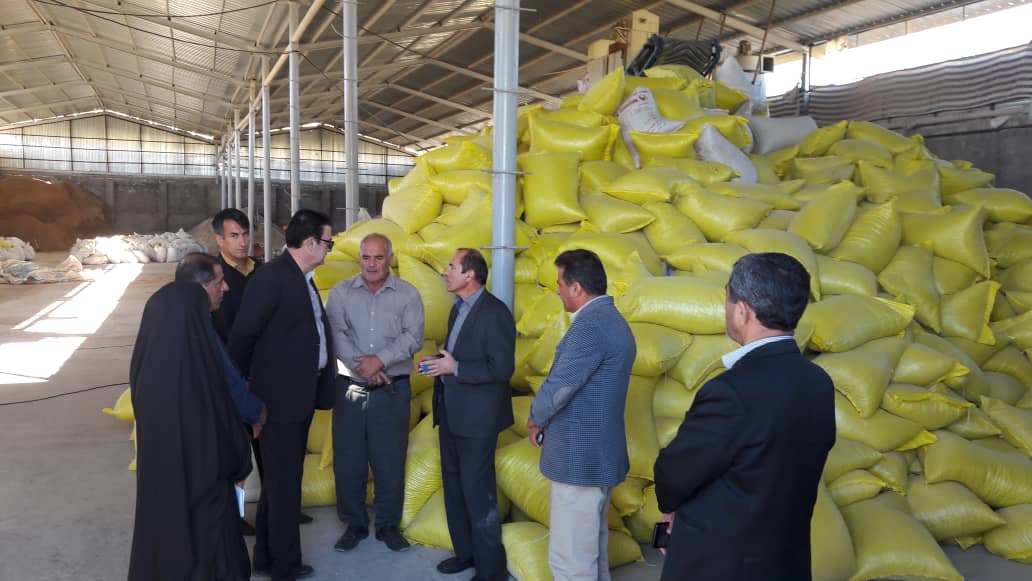 بازدید فرماندار کهگیلویه از کارخانه تولید خوراک دام و طیور چنگلوا/گزارش تصویری